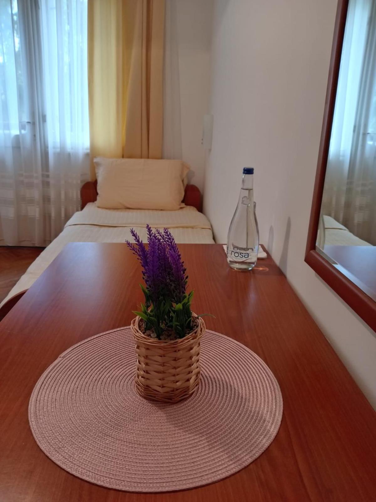 Hotel Vlasina - Vlasinsko Jezero Vlasina Rid Ngoại thất bức ảnh