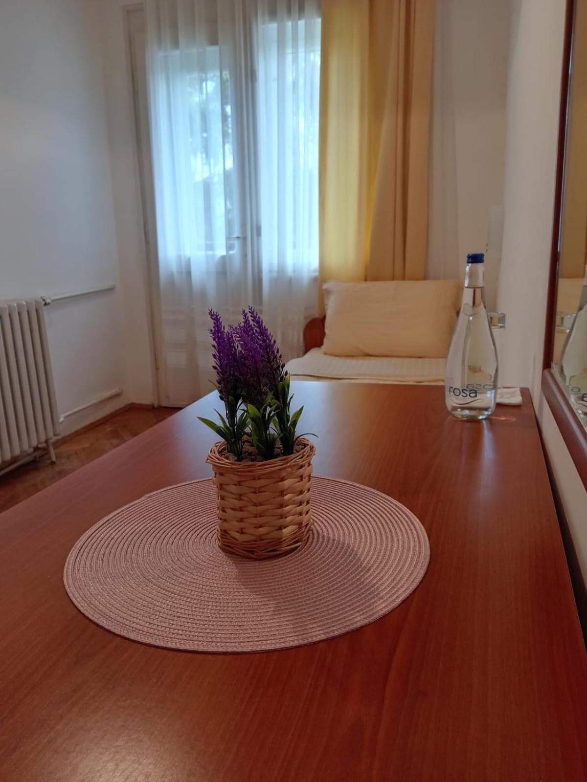 Hotel Vlasina - Vlasinsko Jezero Vlasina Rid Ngoại thất bức ảnh