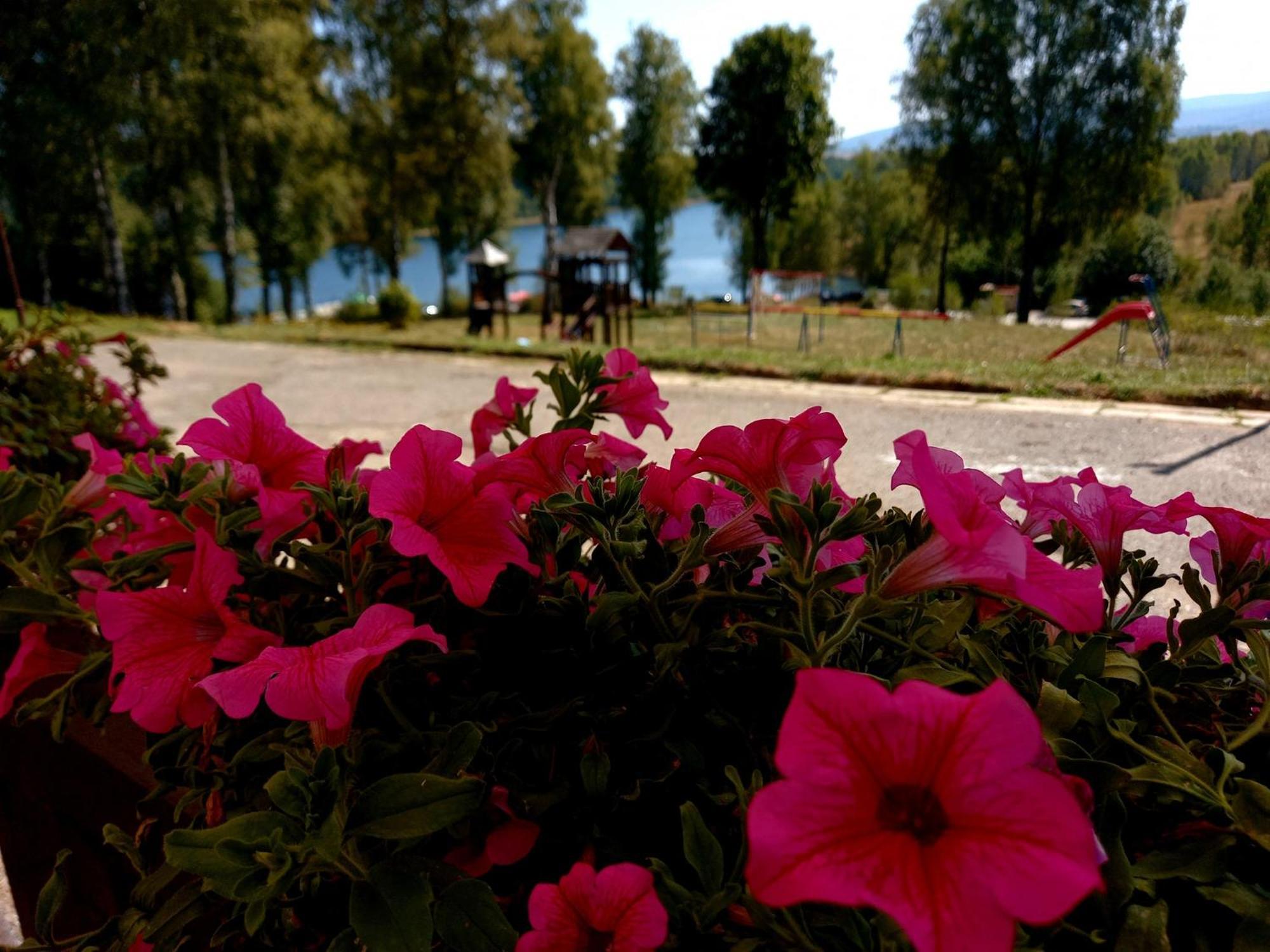 Hotel Vlasina - Vlasinsko Jezero Vlasina Rid Ngoại thất bức ảnh