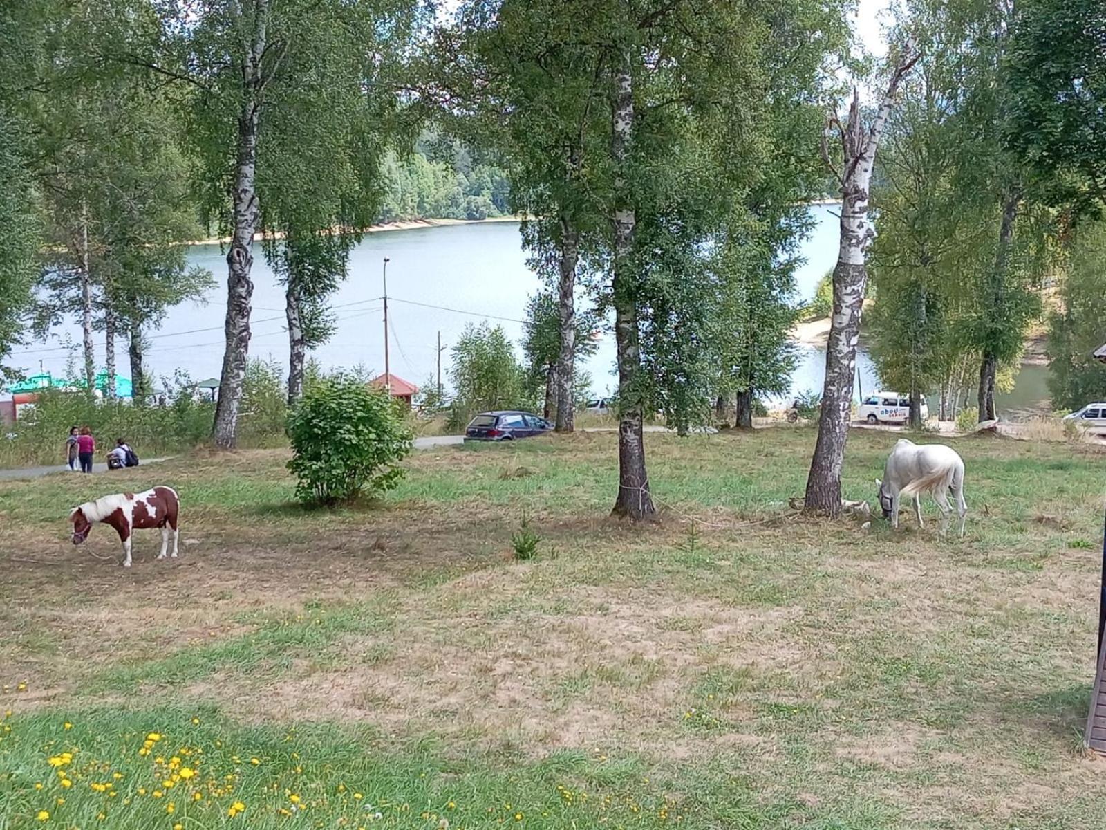 Hotel Vlasina - Vlasinsko Jezero Vlasina Rid Ngoại thất bức ảnh