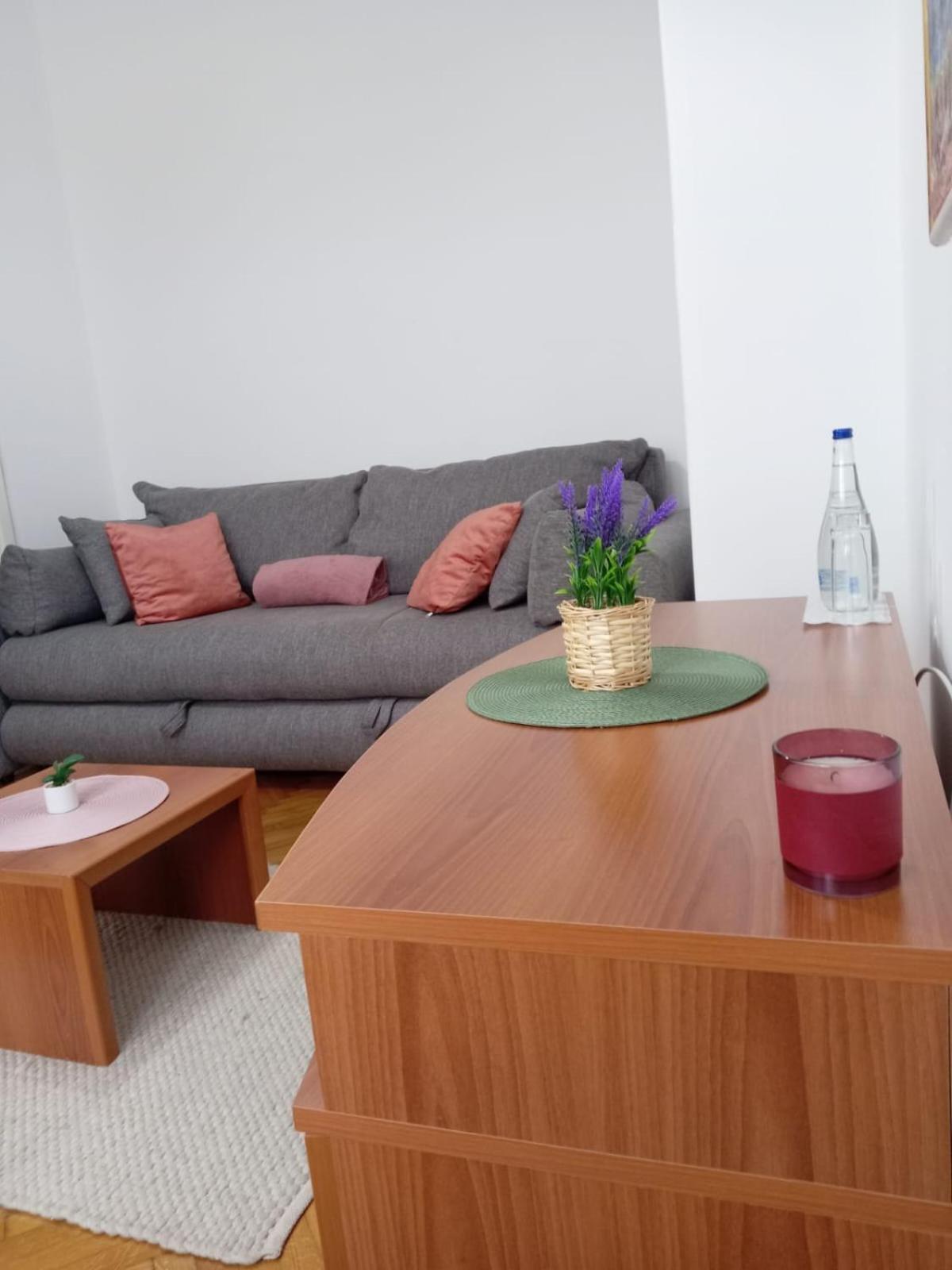 Hotel Vlasina - Vlasinsko Jezero Vlasina Rid Ngoại thất bức ảnh